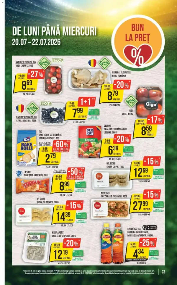 Pagina 23