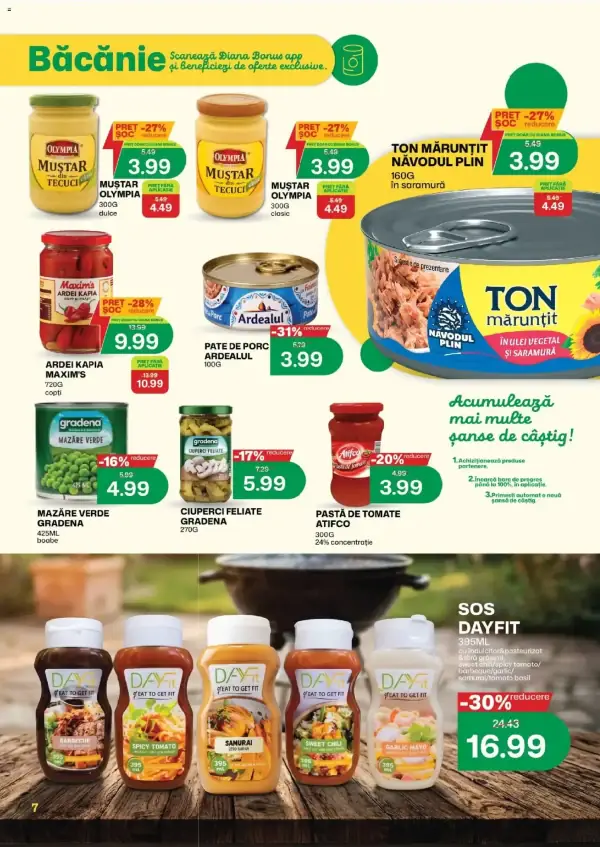 Pagina 7