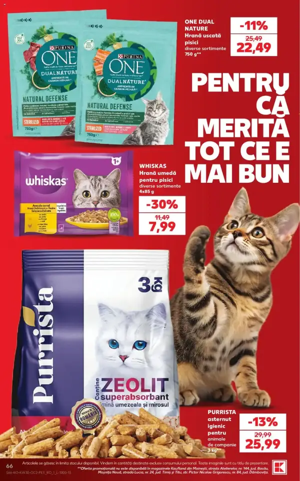 Pagina 66