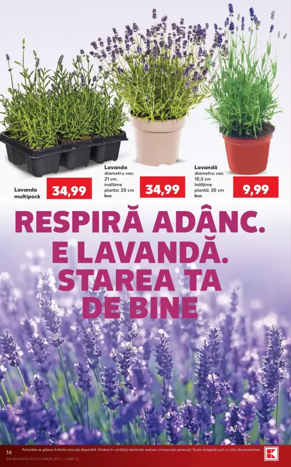 Pagina 14