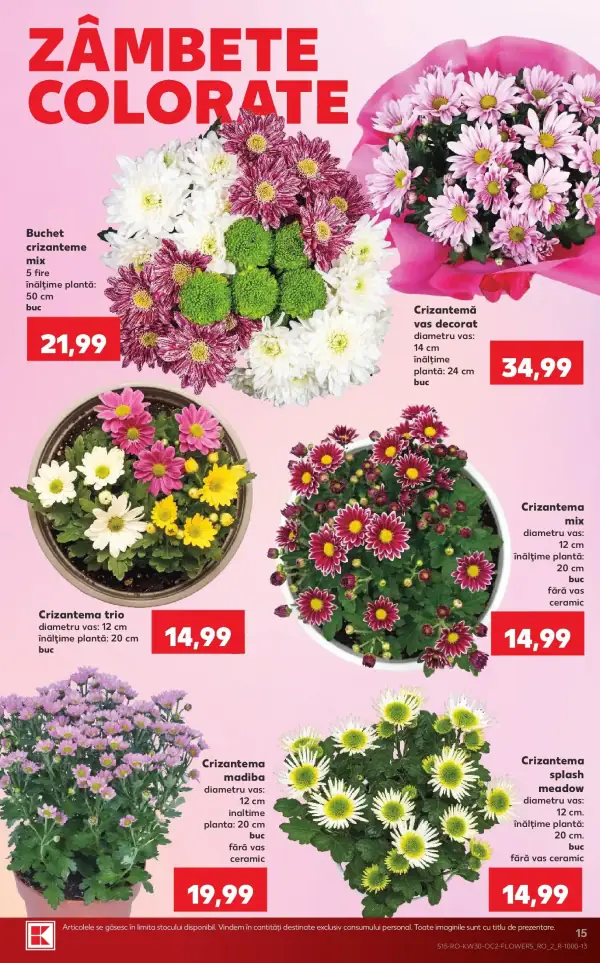 Pagina 15