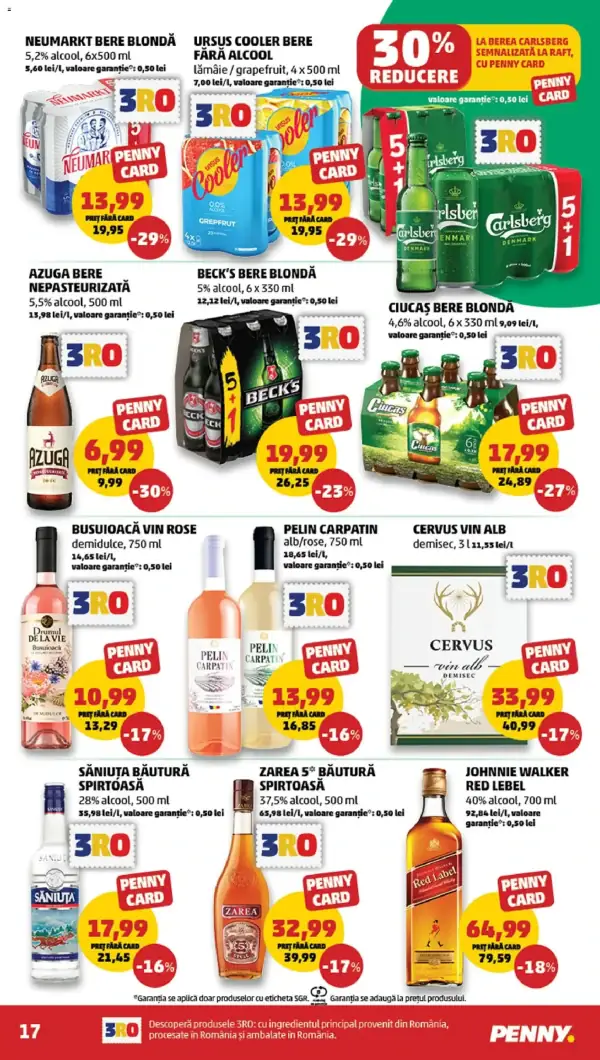 Pagina 17