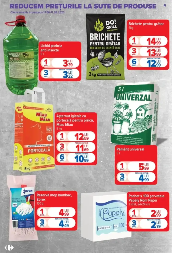 Pagina 4