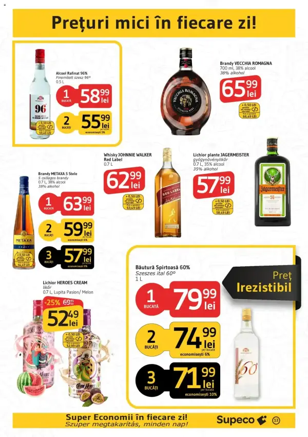 Pagina 13