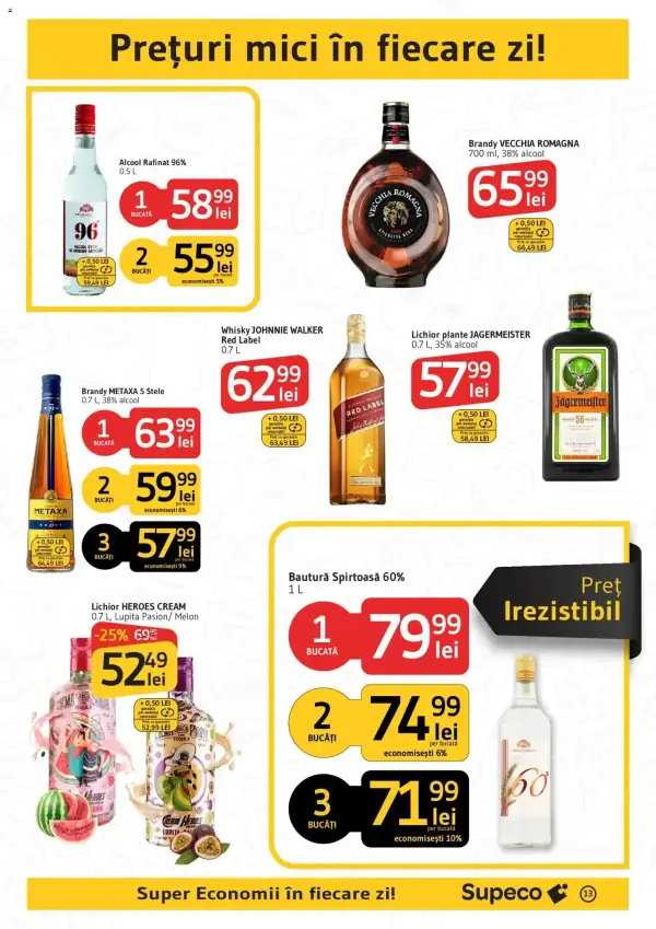 Pagina 13