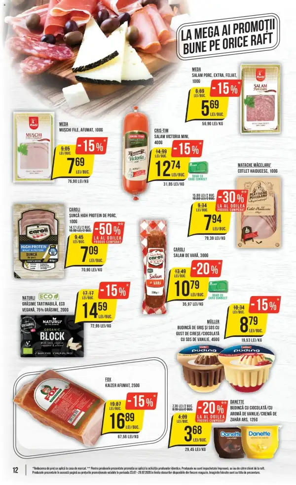 Pagina 12