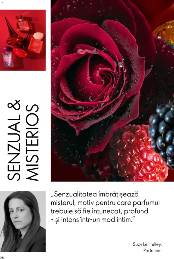 Pagina 28
