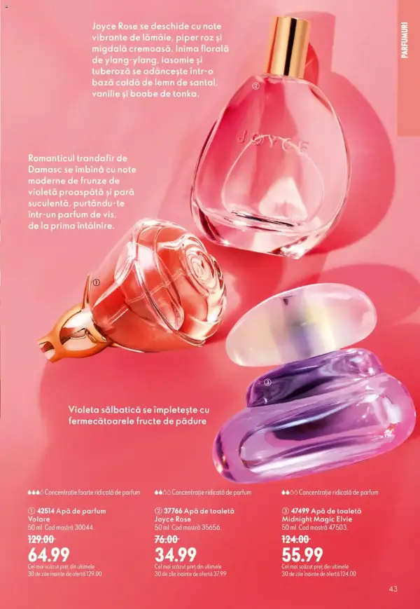 Pagina 43