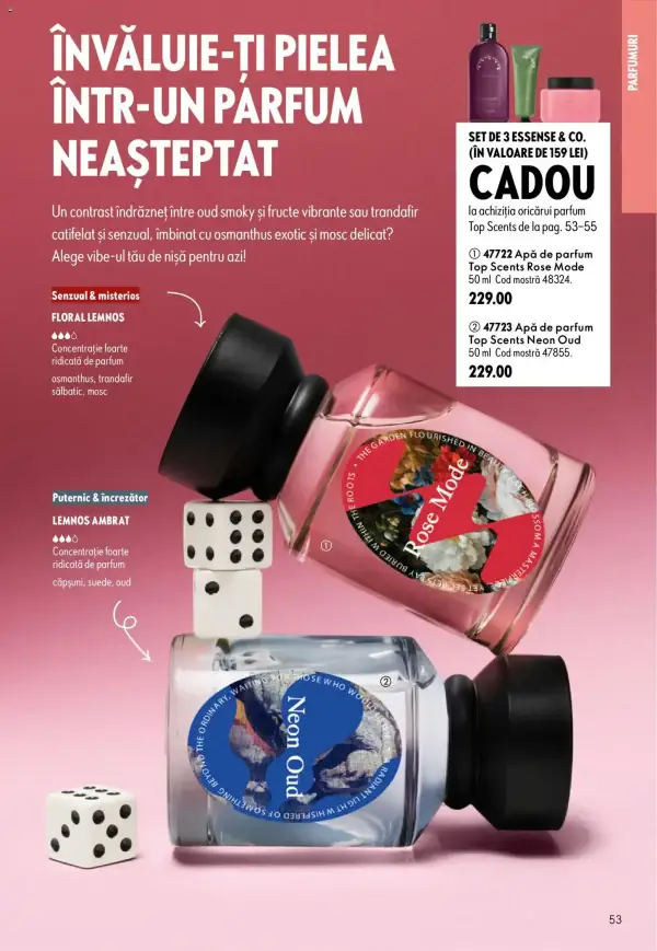 Pagina 53