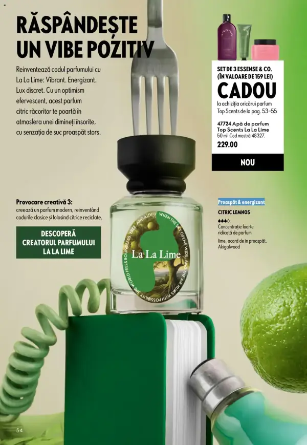 Pagina 54
