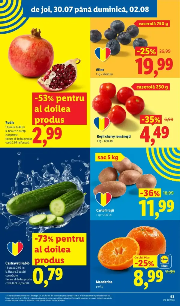 Pagina 53