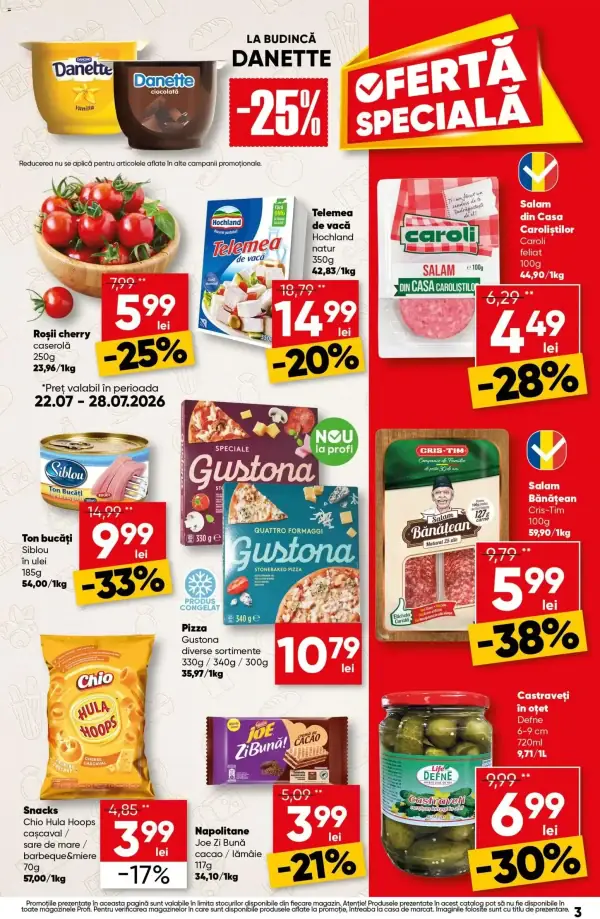 Pagina 3