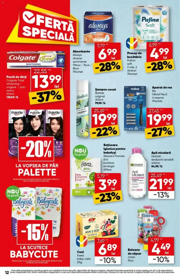 Pagina 12