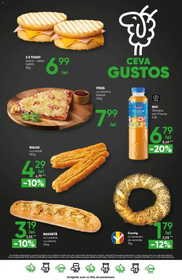 Pagina 17