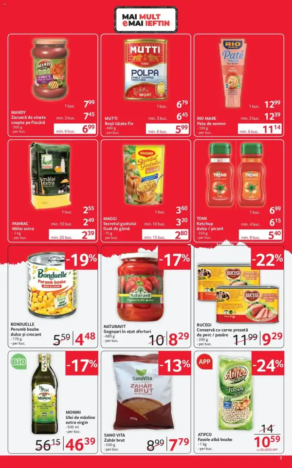 Pagina 7