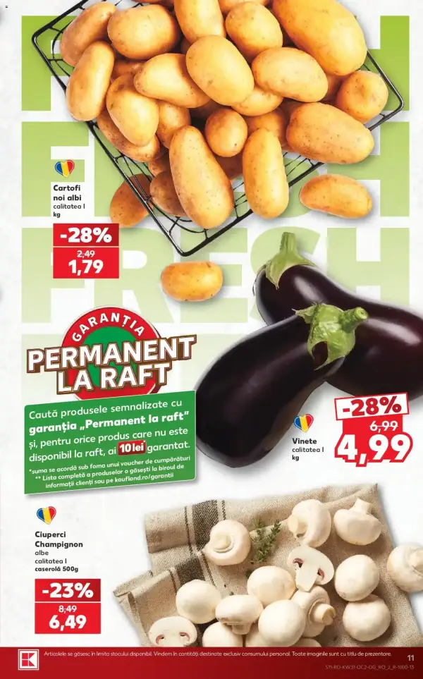 Pagina 11