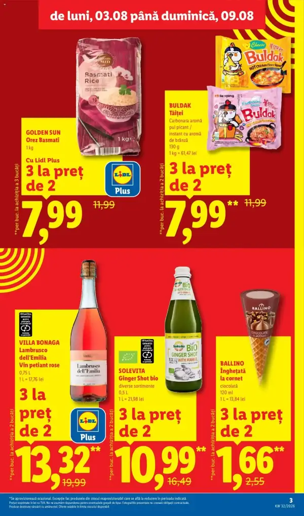 Pagina 3