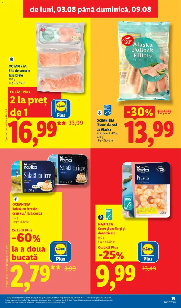 Pagina 19