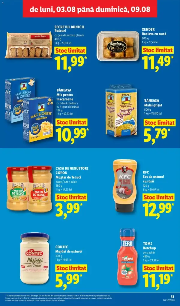 Pagina 31