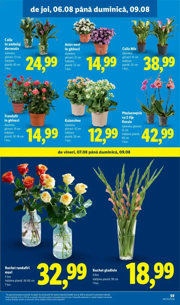 Pagina 59
