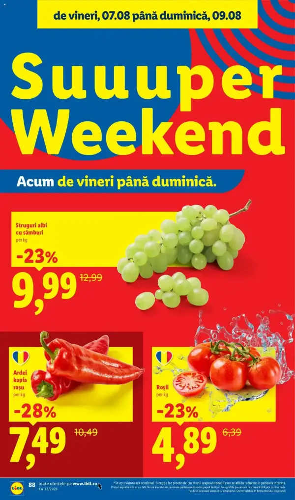 Pagina 88