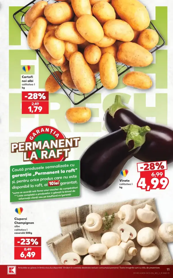 Pagina 11