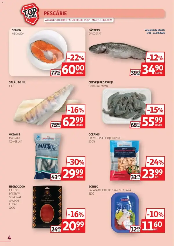 Pagina 4