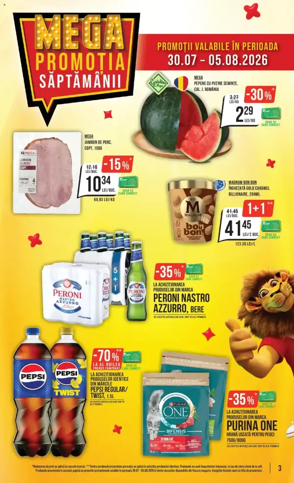 Pagina 3