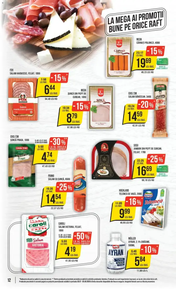 Pagina 12