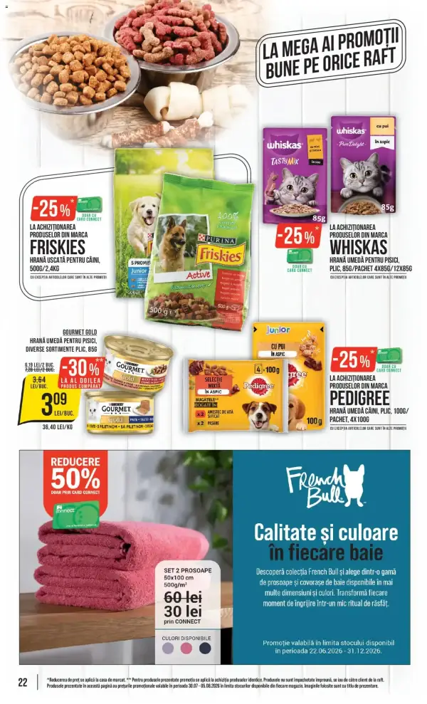 Pagina 22