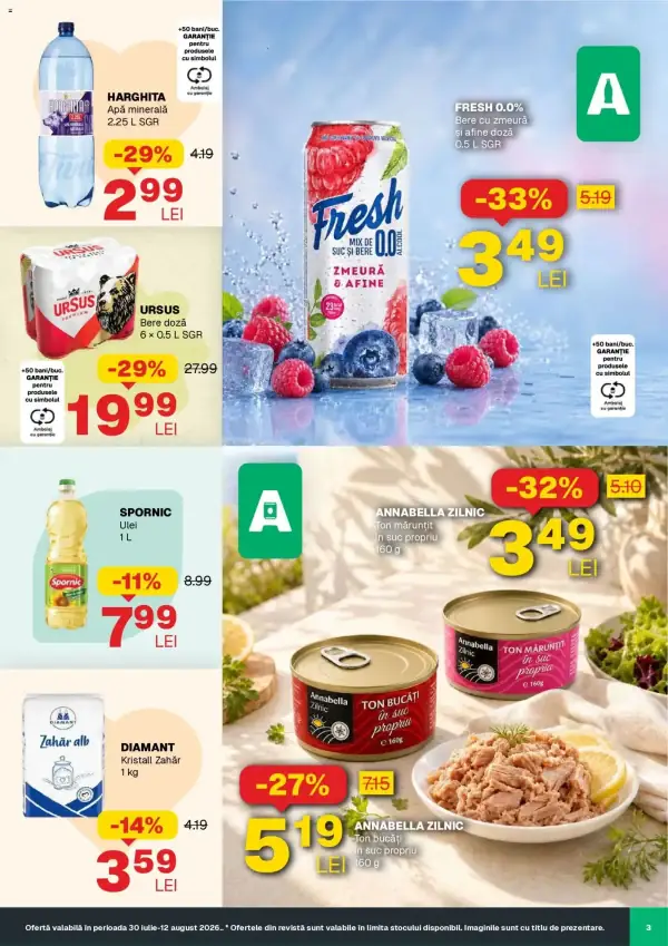 Pagina 3