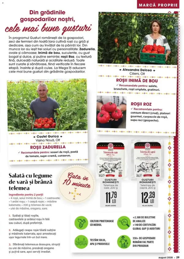 Pagina 29