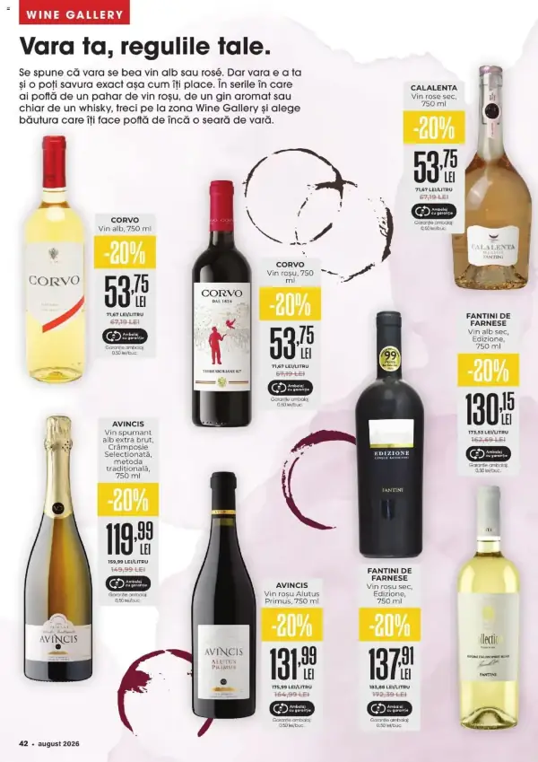 Pagina 42