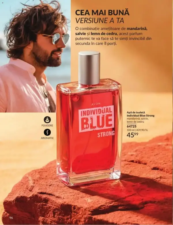 Pagina 96