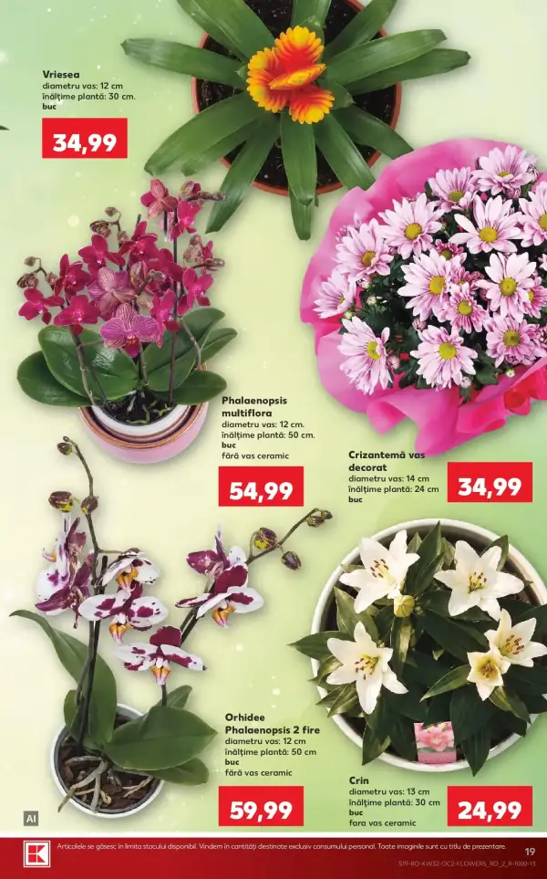 Pagina 19