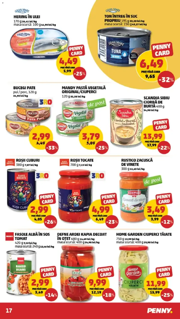 Pagina 17