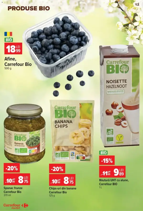 Pagina 13