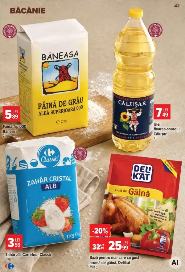Pagina 42
