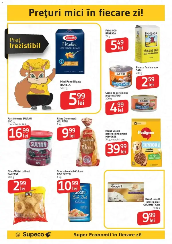 Pagina 12