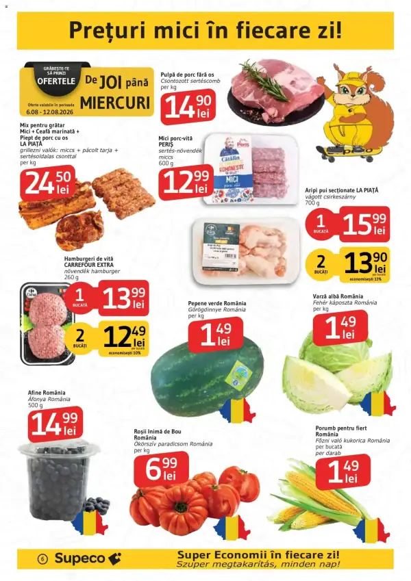 Pagina 8