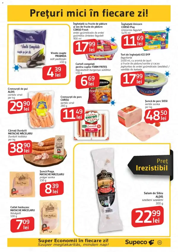 Pagina 11