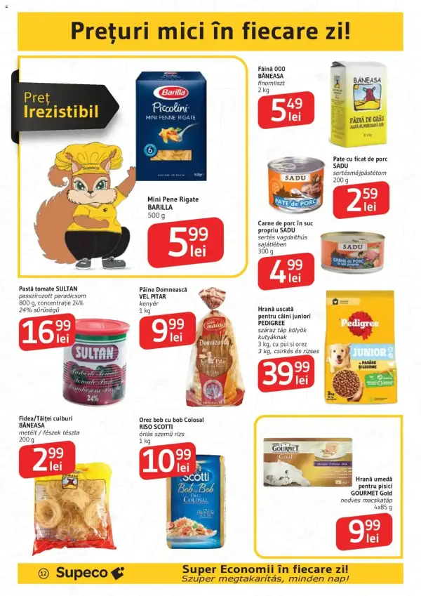 Pagina 12