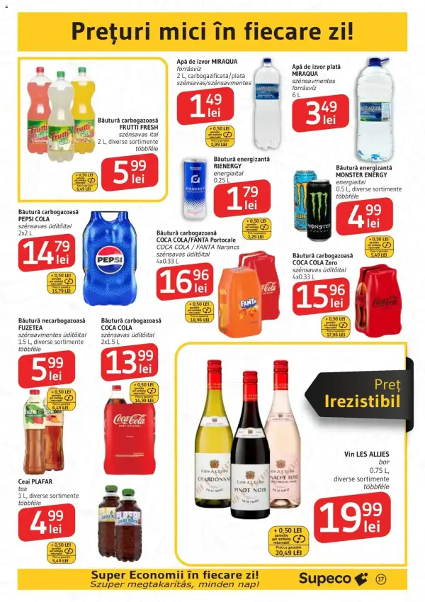 Pagina 17