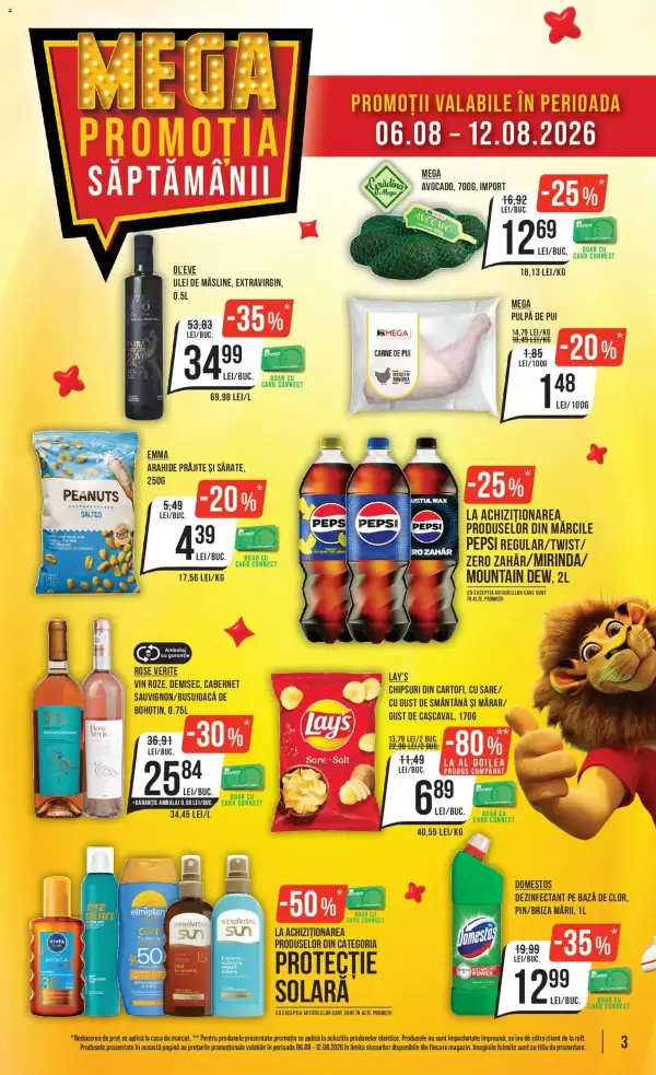 Pagina 3