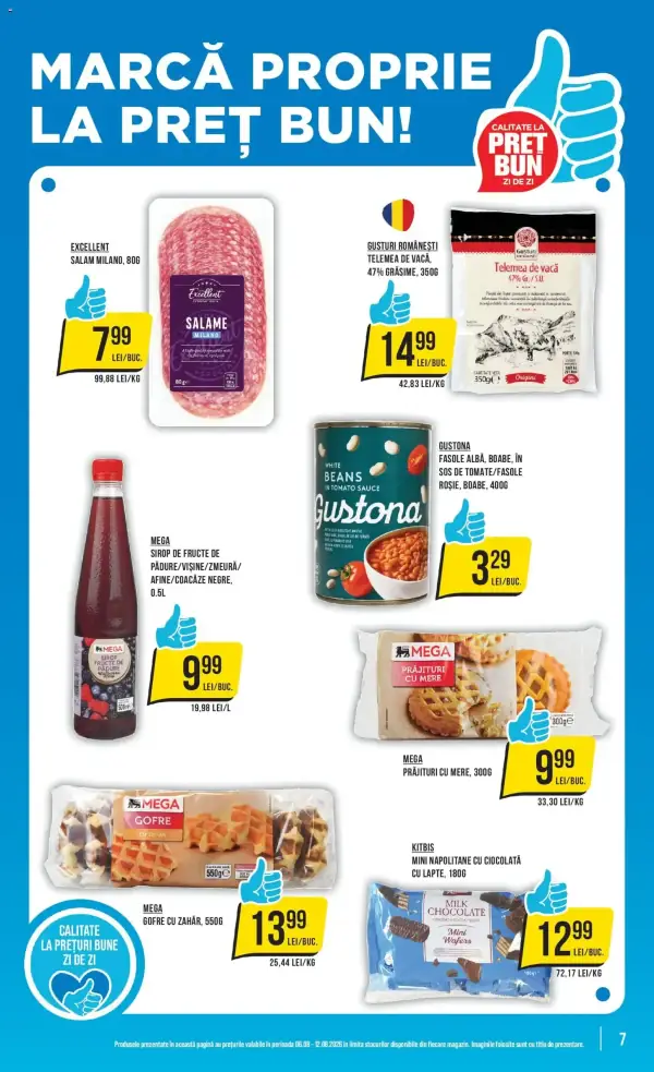 Pagina 7