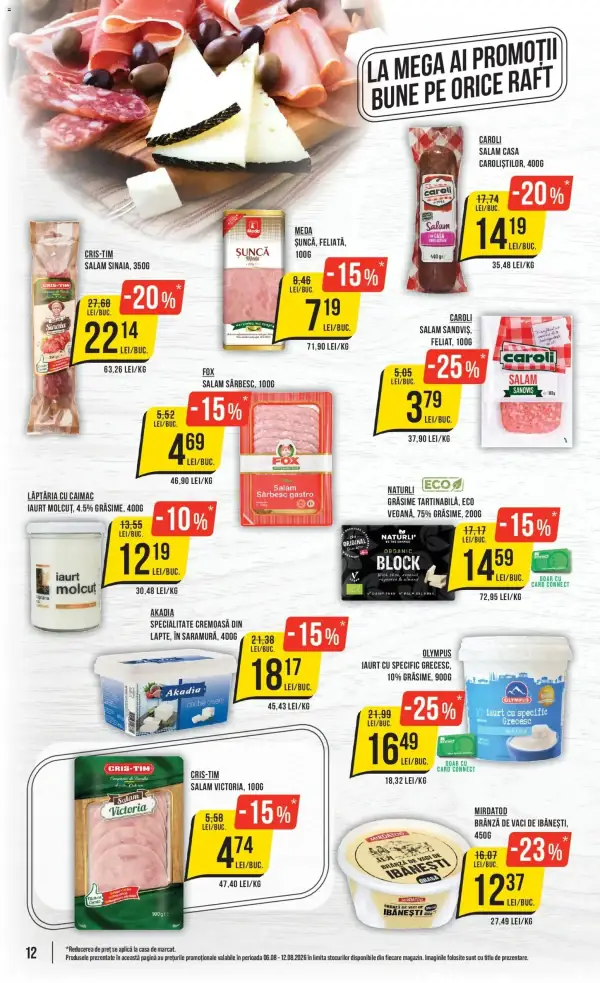 Pagina 12