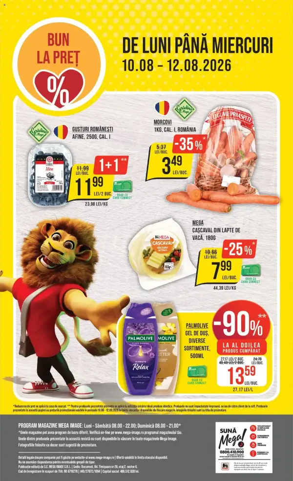 Pagina 24