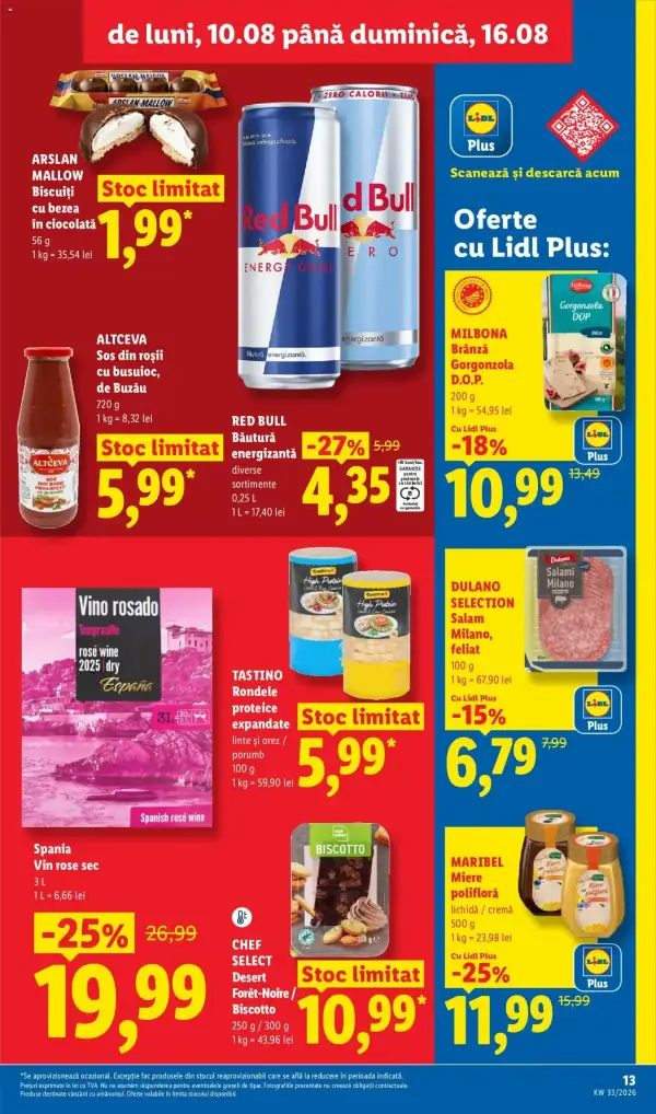 Pagina 13