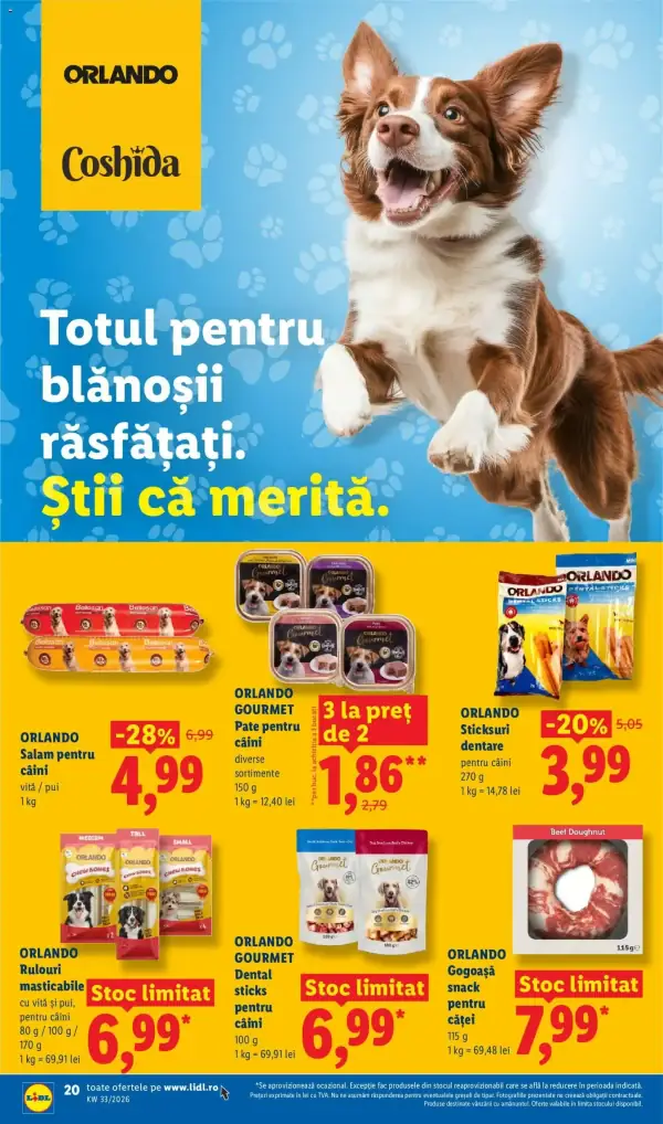Pagina 20