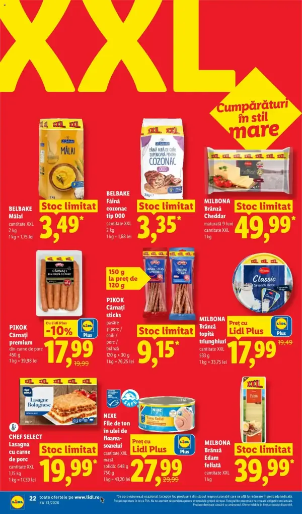Pagina 22